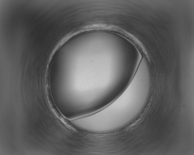 X0000084521373200702230826