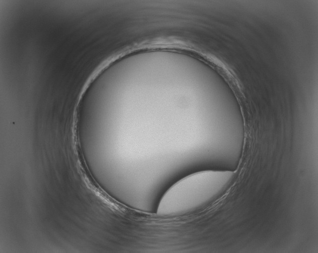 X0000084521374200702230826