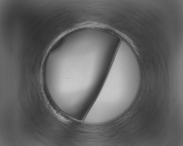 X0000084521375200702230826