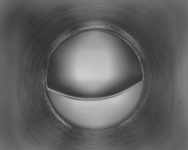 X0000084521377200702230826