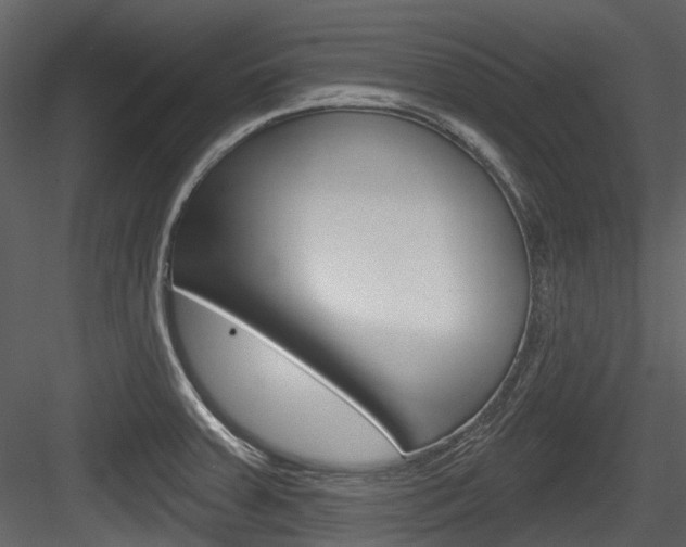 X0000084521379200702230826