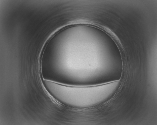 X0000084521380200702230826