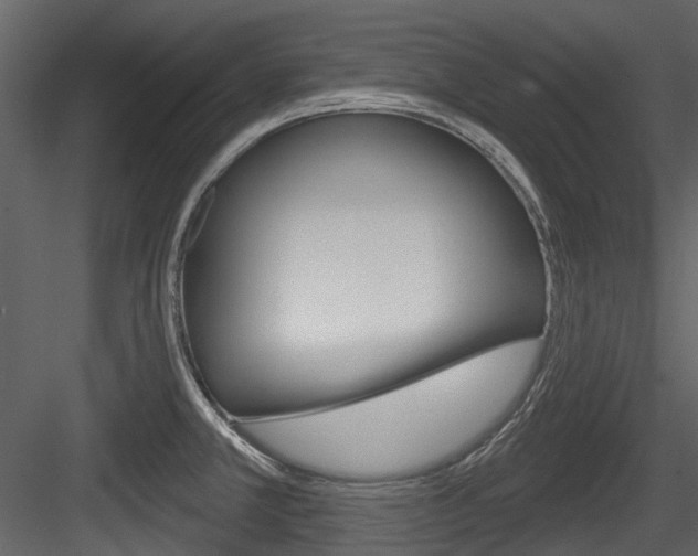X0000084521381200702230826