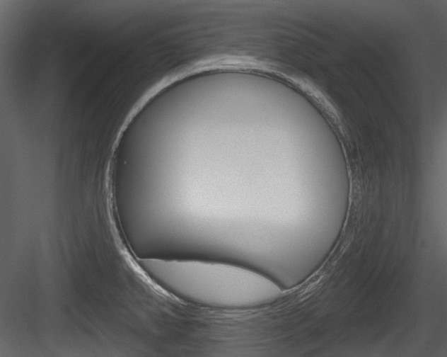 X0000084521382200702230826