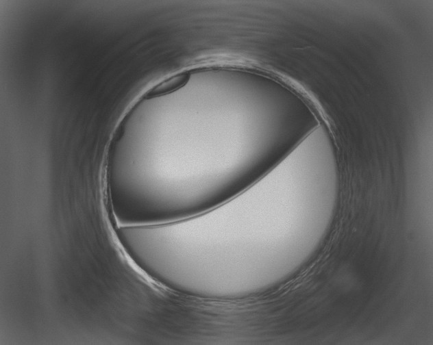 X0000084521383200702230826