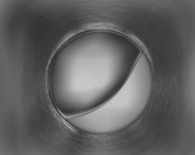 X0000084521384200702230826