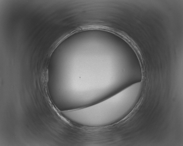 X0000084521385200702230826