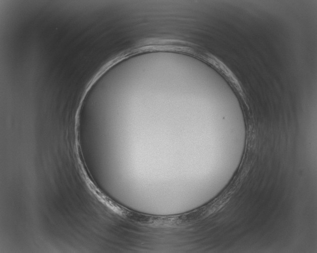 X0000084521386200702230826