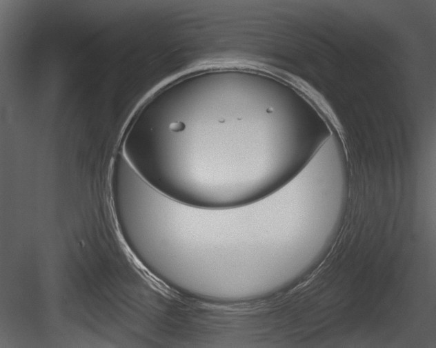 X0000084521388200702230826