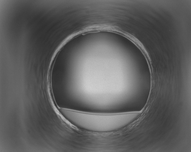 X0000084521389200702230826