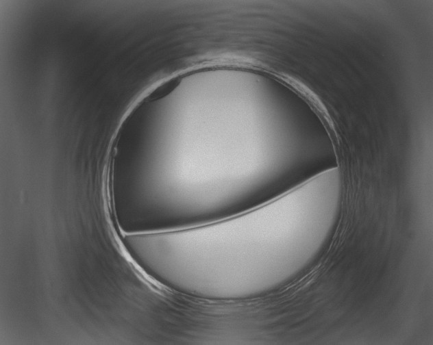 X0000084521391200702230826