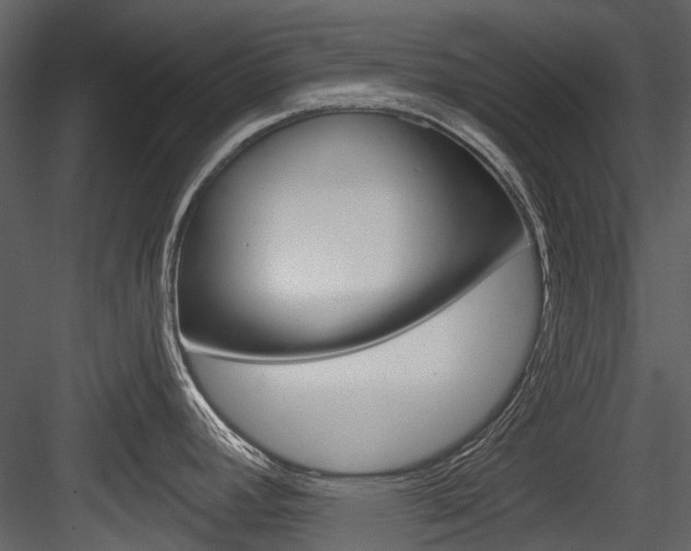X0000084521392200702230826