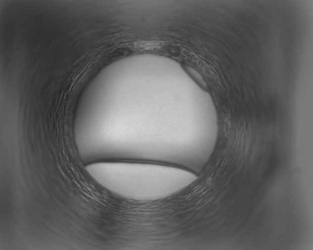 X0000084521393200702230825