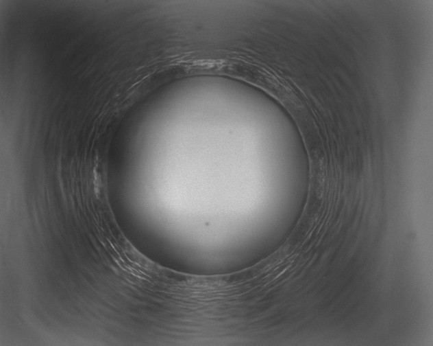 X0000084521394200702230825