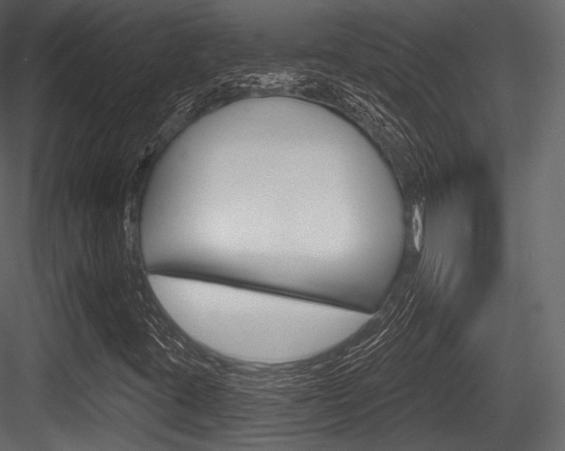 X0000084521395200702230825