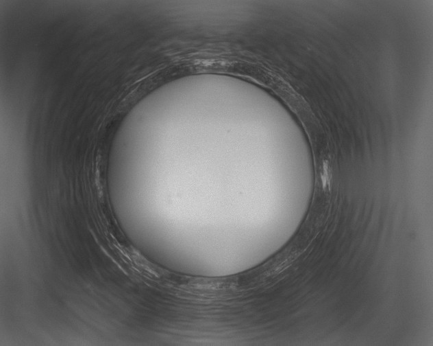X0000084521396200702230825