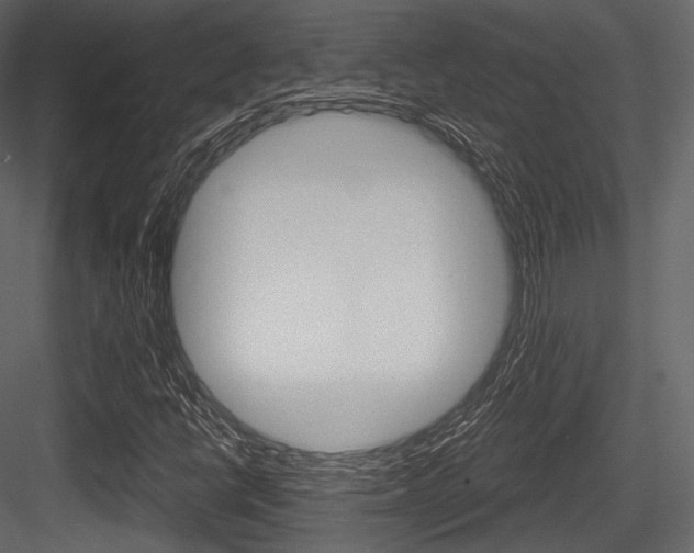 X0000084521398200702230825