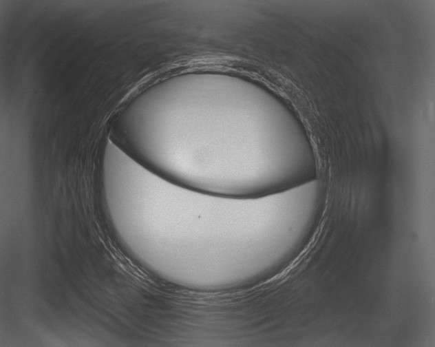 X0000084521401200702230825