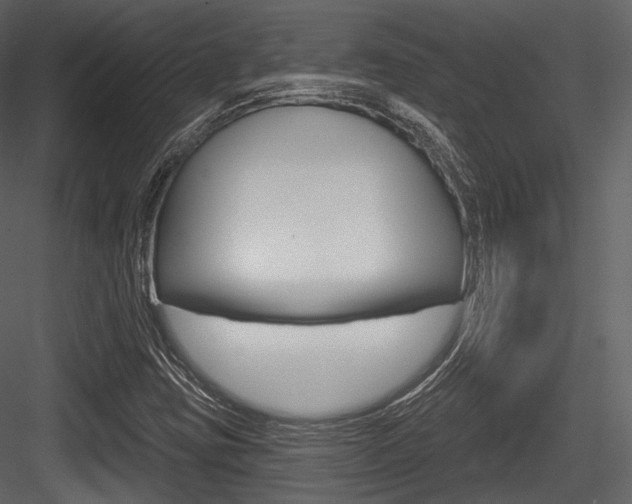 X0000084521403200702230825