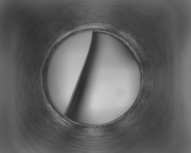 X0000084521404200702230825