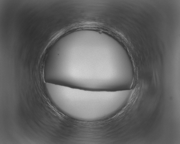 X0000084521405200702230825