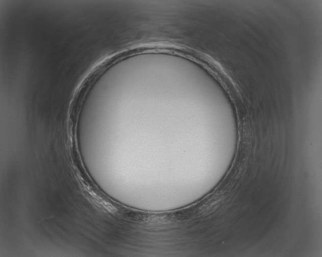 X0000084521408200702230825