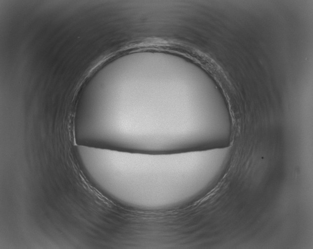 X0000084521409200702230825