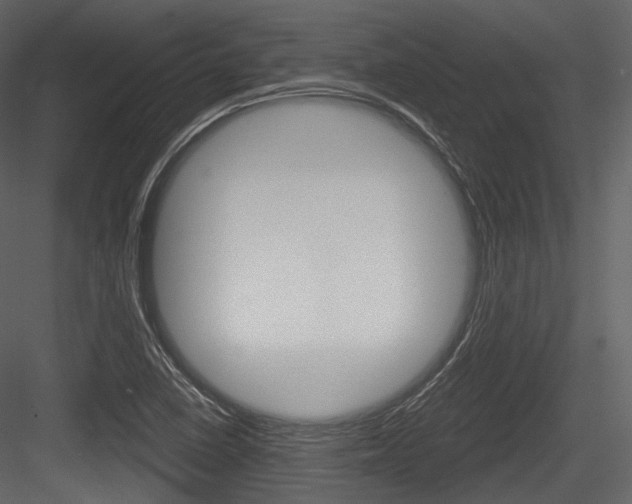 X0000084521410200702230825