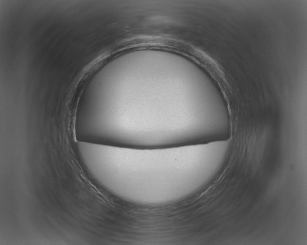 X0000084521411200702230825