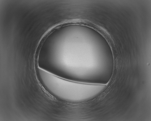 X0000084521412200702230826