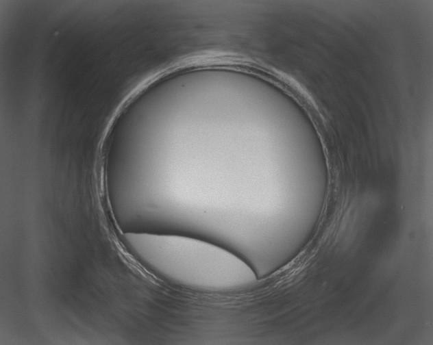 X0000084521413200702230826