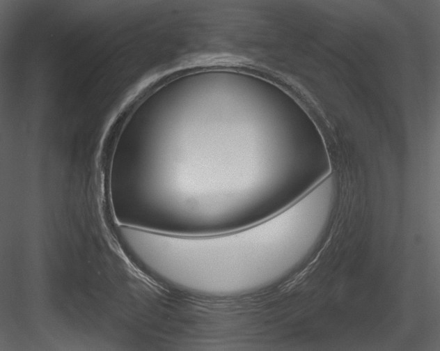 X0000084521414200702230826