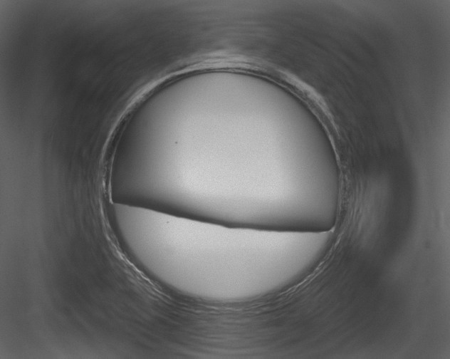 X0000084521415200702230826