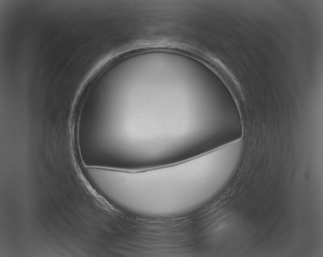 X0000084521416200702230826