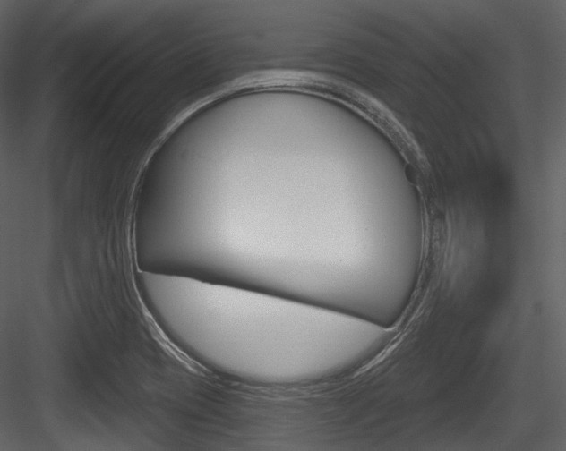 X0000084521417200702230826