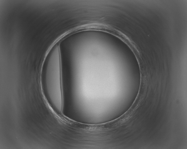 X0000084521418200702230826
