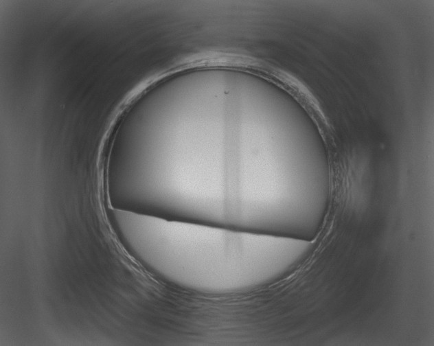 X0000084521419200702230826