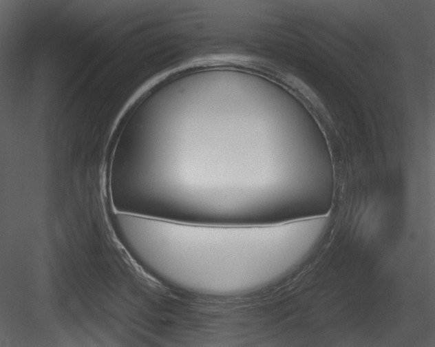 X0000084521420200702230826