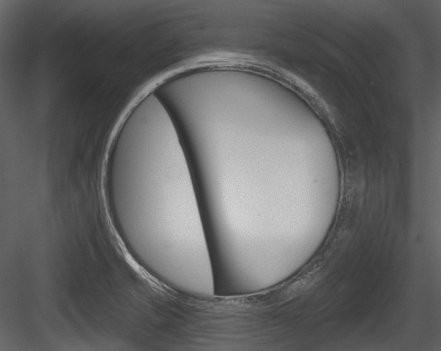 X0000084521421200702230826