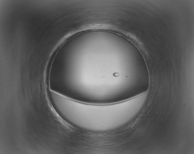 X0000084521422200702230826
