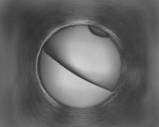 X0000084521423200702230826