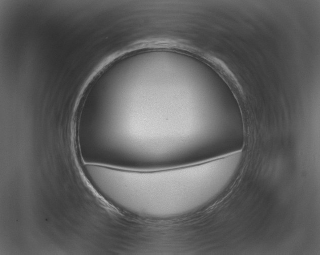 X0000084521424200702230826