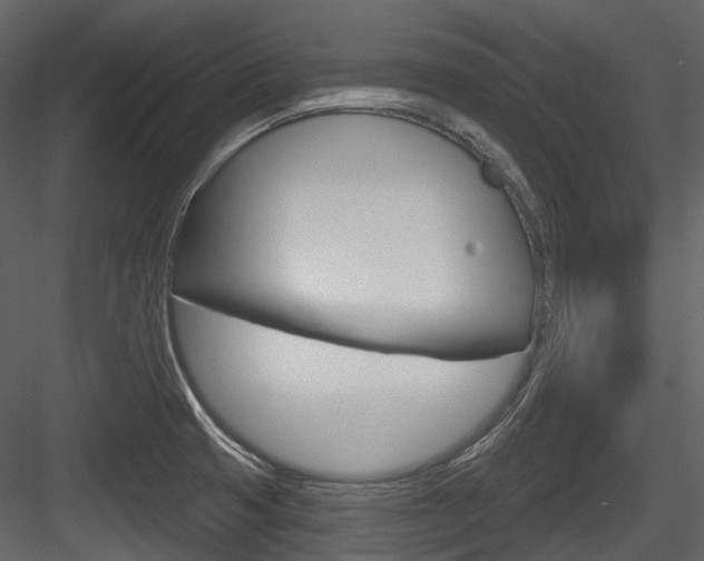 X0000084521425200702230826