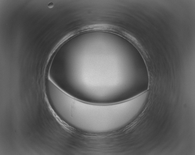 X0000084521426200702230826