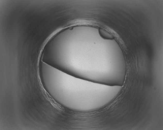 X0000084521427200702230826