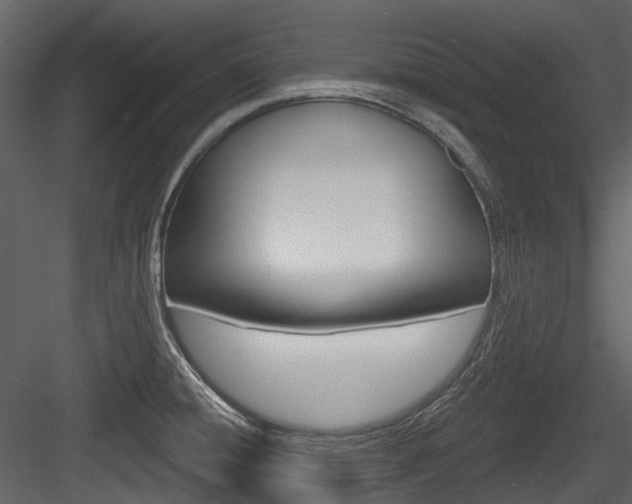 X0000084521428200702230826