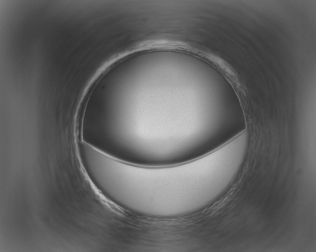 X0000084521430200702230826