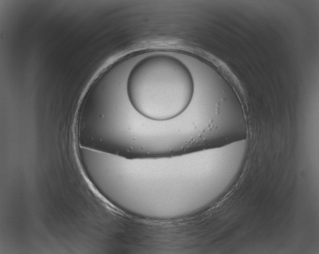 X0000084521432200702230826