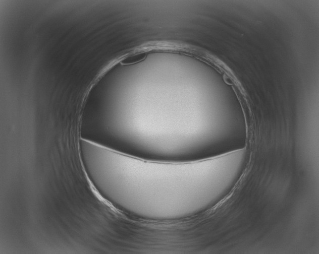 X0000084521433200702230826