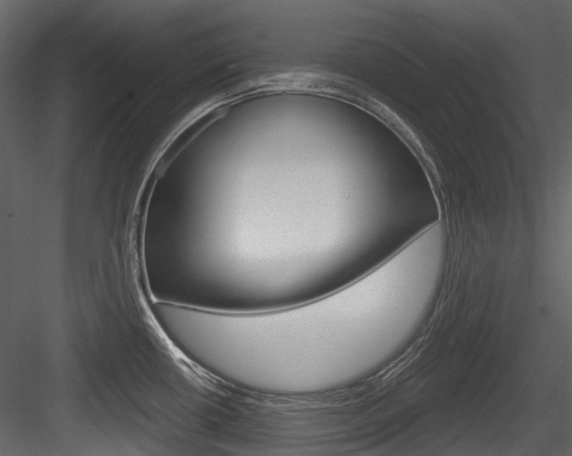 X0000084521434200702230826